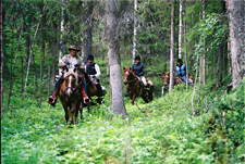 Finland-Finland-Sami Wilderness Trail